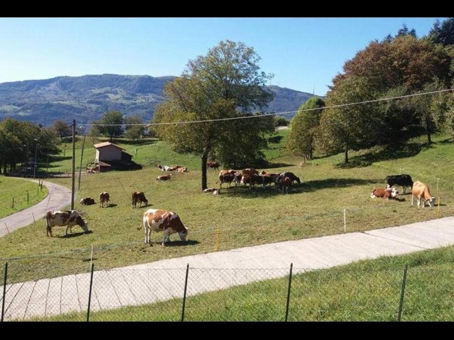 Casa "La Forcella" Villa Brembilla Bagian luar foto